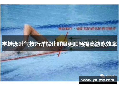 学蛙泳吐气技巧详解让呼吸更顺畅提高游泳效率