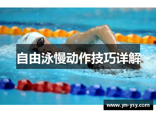 自由泳慢动作技巧详解