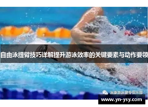自由泳提臂技巧详解提升游泳效率的关键要素与动作要领