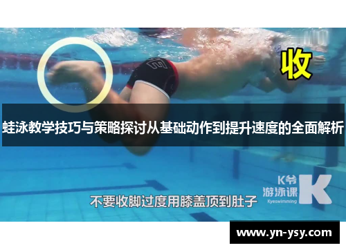 蛙泳教学技巧与策略探讨从基础动作到提升速度的全面解析