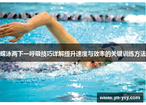 蝶泳两下一呼吸技巧详解提升速度与效率的关键训练方法