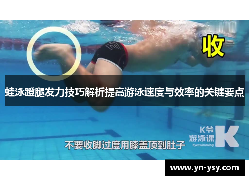 蛙泳蹬腿发力技巧解析提高游泳速度与效率的关键要点