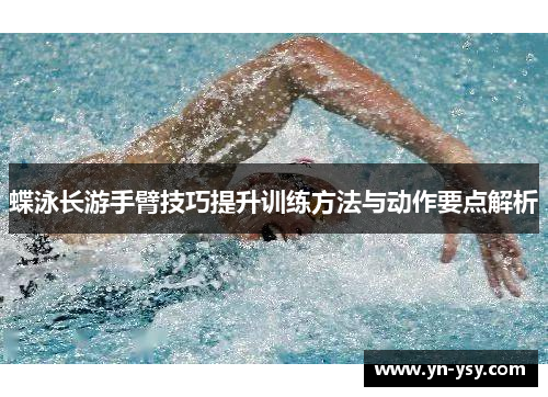 蝶泳长游手臂技巧提升训练方法与动作要点解析